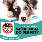 Clínica Veterinária Bom Pastor 