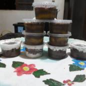 Bolo de Pote 