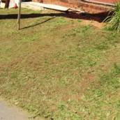 Limpeza de Terreno