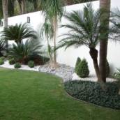 Jardinagem e paisagismo 