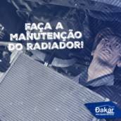 Manutenção no Radiador