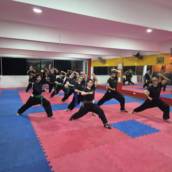 Aulas de Kung-fu 