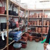 Vaso para plantas