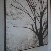 Quadros canvas 