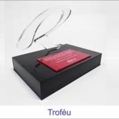 Troféu 13