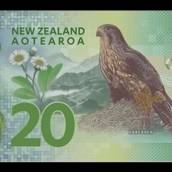 Dólar Neozelandês 