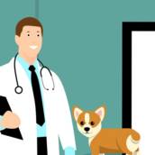 Atendimento Veterinario