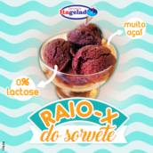 Sorvete de Açaí - Zero Lactose