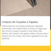 Limpeza de Carpetes e Tapetes