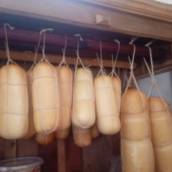 Provolone