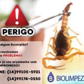 Dedetização de Pragas Urbanas