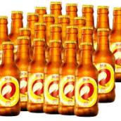 Skol Profissa
