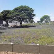 Aplicação de inseticidas em terrenos