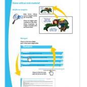 Designer Instrucional