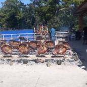 Valquiria Festas e Eventos 