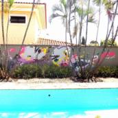 Pintura Interna 