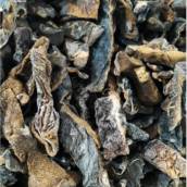 FUNGHI SECCHI