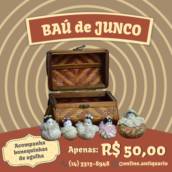 Baú de Junco
