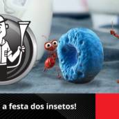Dedetização