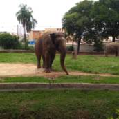 PARTIU ZOOLÓGICO E SHOPPING DE SOROCABA