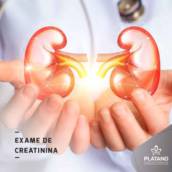 Exame de Creatinina