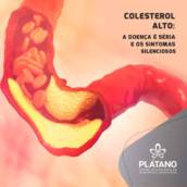 Exames de Colesterol