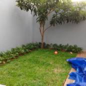 Serviço de Implantação de Área Verde em Residência em Bauru