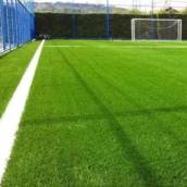 Campo de Suiço