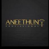 Aneethun Profissional