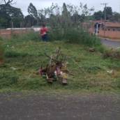 Limpeza de Terreno