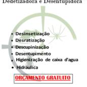 Desinsetização