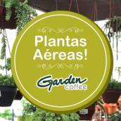 Plantas Aéreas!!