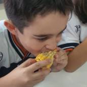 Alimentação 