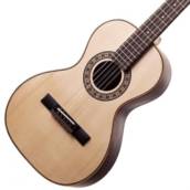 Aulas de viola caipira