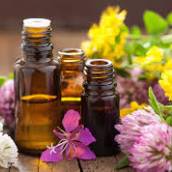 Terapia Floral