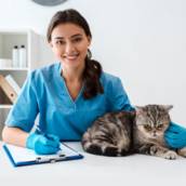 Consulta Veterinária 