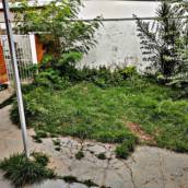 Limpeza e Manutenção