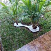 Plantio de Grama