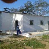 Pinturas