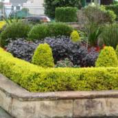 Poda de Jardim