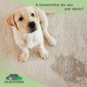 Limpeza e Higienização de Tapetes
