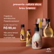 Breu Branco