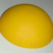 Tartaruga