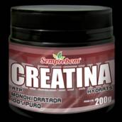 Creatina em Pó