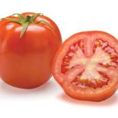 Tomate | Kg