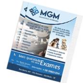  Folders, Flyers e Panfletos