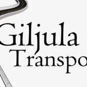 Transporte de Cargas de Pequenos Porte