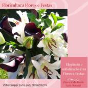 Buquê de Flores Calla Bordô Lírio Oriental