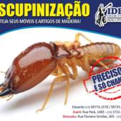 Descupinização