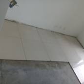 Reforma em geral